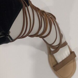 Long Tall Sally Gladiator Style Zip up & Lace Up Sandal
